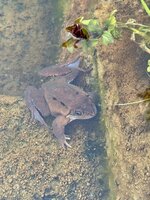 IMG_8169.jpeg