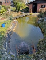 IMG_8191.jpeg