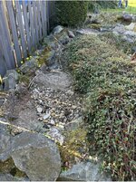 IMG_8193.jpeg