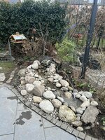 IMG_1373.jpeg