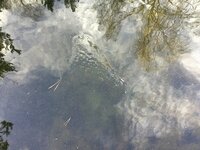 19A0F818-8221-4A6F-8E9C-10F27543694F.jpeg