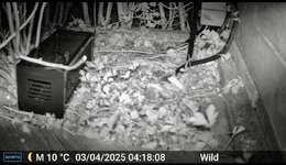 IMG_5097.jpeg