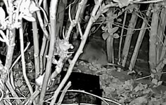 IMG_5104.jpeg