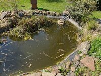 IMG_0722.jpg