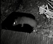 IMG_5178.jpeg