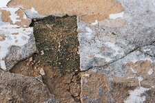 image040 web.jpg