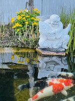 IMG_8325.jpeg