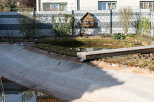 DSC06126.jpg