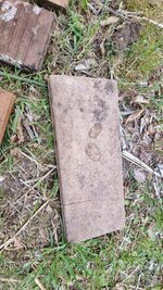 20250411_182104.jpg