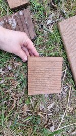20250411_182117.jpg