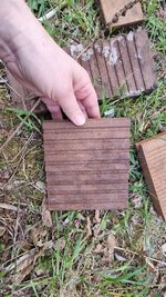20250411_182140.jpg