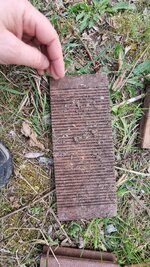 20250411_182155.jpg