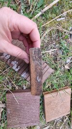20250411_182219.jpg