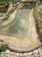 IMG_0201.jpeg