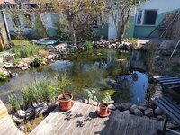 IMG_20250413_145231.jpg