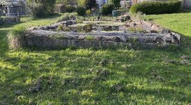 IMG_2650.jpeg