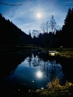 IMG_8430.jpeg