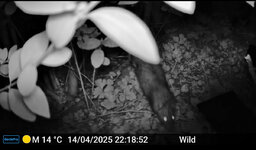 IMG_5378.jpeg