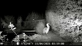 IMG_5392.jpeg