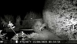 IMG_5393.jpeg
