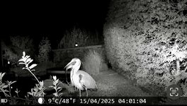 IMG_5395.jpeg