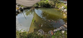 IMG_2583.jpg