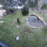 IMG_20250311_181332.jpg