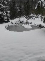 IMG_20241123_160237.jpg