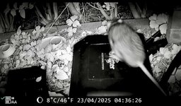IMG_5578.jpeg