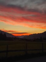 IMG_20240812_205151.jpg