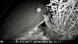 IMG_5637.jpeg