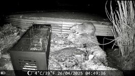 IMG_5845.jpeg