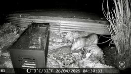 IMG_5846.jpeg