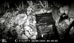 IMG_5847.jpeg