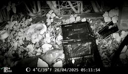 IMG_5848.jpeg