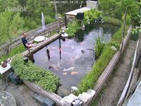 IMG_8700.jpeg