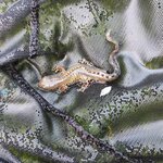 IMG_20250421_192016.jpg