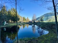 IMG_8575.jpeg