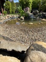 IMG_5988.jpeg