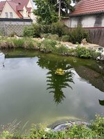 IMG_3092.jpeg