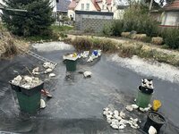 IMG_3042.jpeg