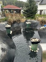 IMG_3054.jpeg