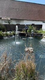 26677D2D-7752-4F53-83DD-EA76CA4A17CF.jpeg