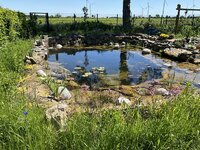IMG_1670.jpeg