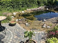 IMG_1668.jpeg
