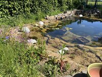 IMG_1669.jpeg