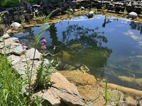 IMG_1672.jpeg