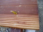 terrasse.jpg