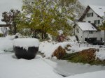 30.10.08 Schnee 3.jpg