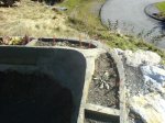 DSC00479A.jpg